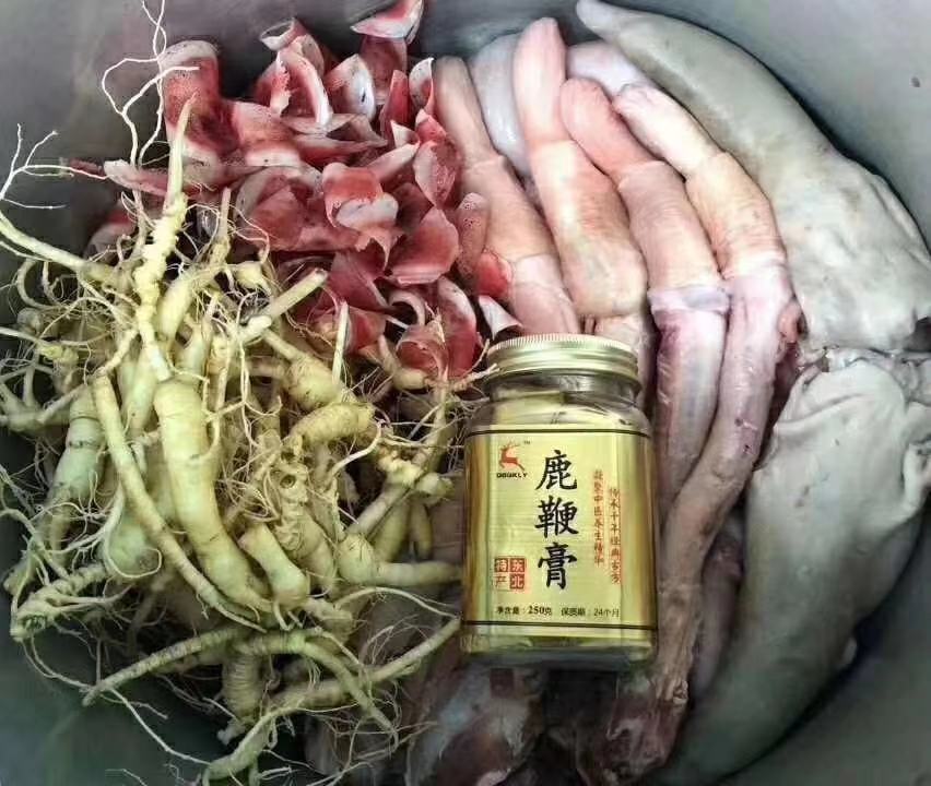 鹿鞭膏1.jpg