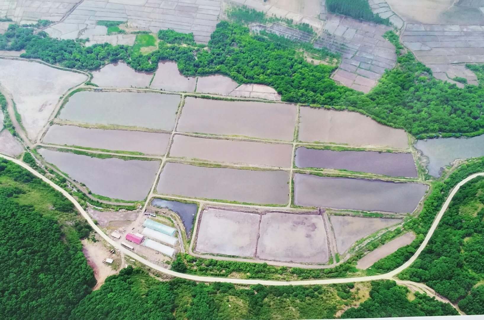 农家渔场卫星地图